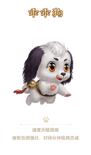 宠物11